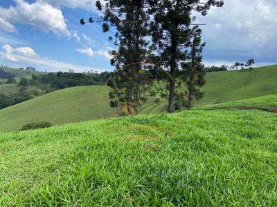 Fazenda - Foto 4