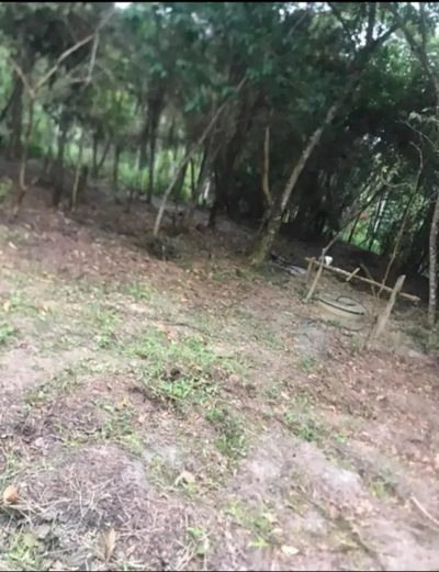 Casa, 4000 m² - Foto 3