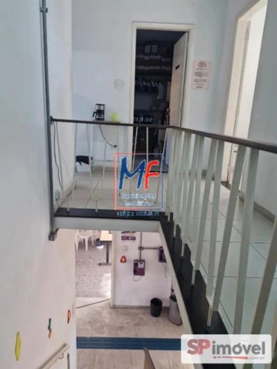 Loja-Salão, 317 m² - Foto 3