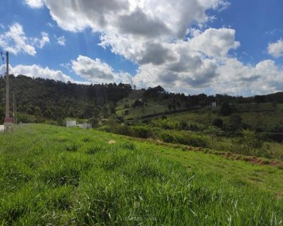 Terreno - Foto 5