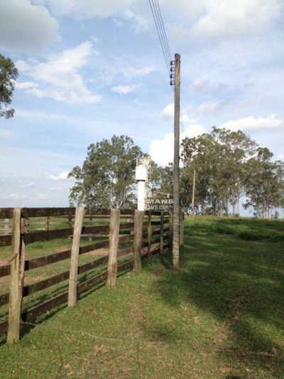 Sítio, 31 hectares - Foto 4