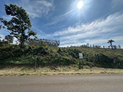 Terreno, 6 hectares - Foto 4