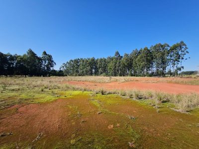 Terreno, 3 hectares - Foto 4