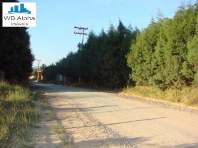 Terreno, 2 hectares - Foto 3