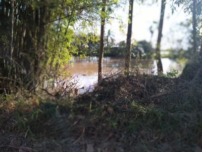 Chácara, 3 quartos, 2 hectares - Foto 4