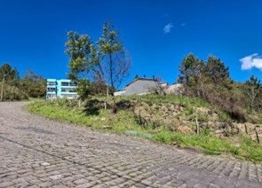 Terreno, 454 hectares - Foto 2