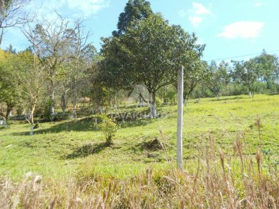 Terreno, 9561 m² - Foto 2