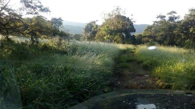 Fazenda - Foto 4