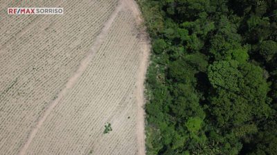 Terreno, 75 hectares - Foto 5