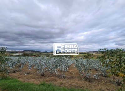 Terreno, 5 hectares - Foto 1