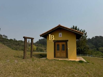Sítio, 3 quartos, 5 hectares - Foto 3