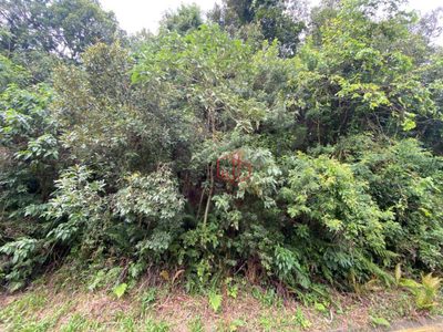 Terreno, 1200 m² - Foto 4