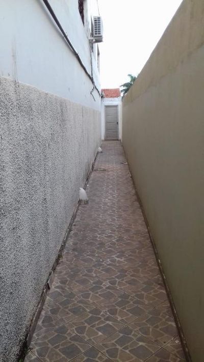 Loja-Salão, 381 m² - Foto 3