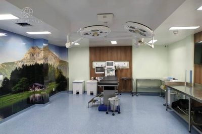 Prédio Inteiro, 21000 m² - Foto 4