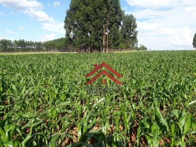 Sítio, 2 quartos, 8 hectares - Foto 1