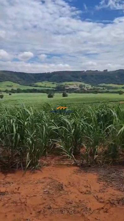 Fazenda, 134 hectares - Foto 3