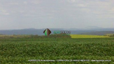 Terreno, 2500 m² - Foto 3