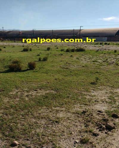 Depósito-Galpão, 5200 m² - Foto 3