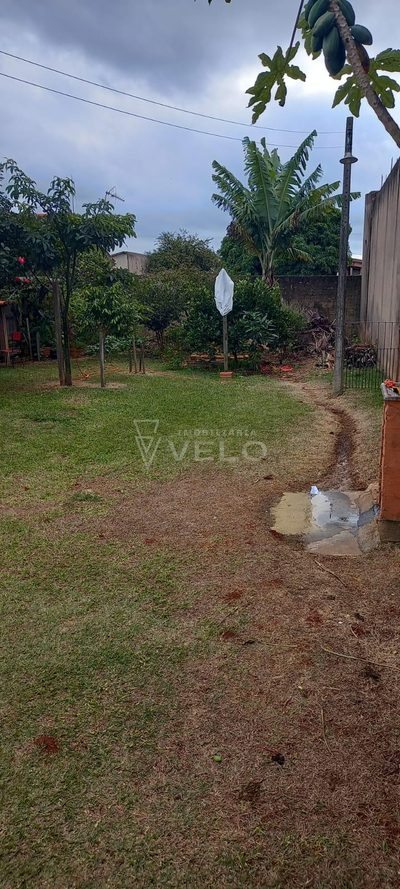 Casa, 3 quartos, 100 m² - Foto 3