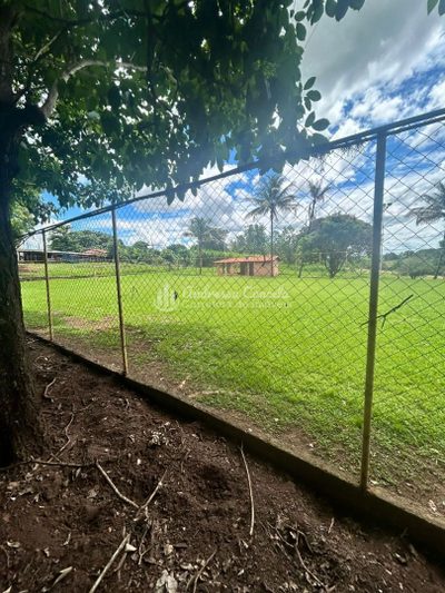 Sítio, 3 quartos, 2 hectares - Foto 4