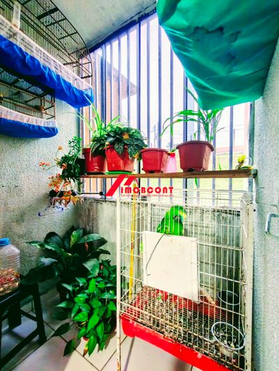 Apartamento, 2 quartos, 60 m² - Foto 4