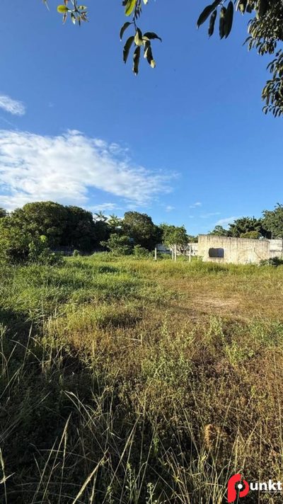 Terreno, 2870 m² - Foto 2