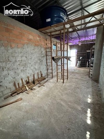 Casa, 4 quartos, 580 m² - Foto 4
