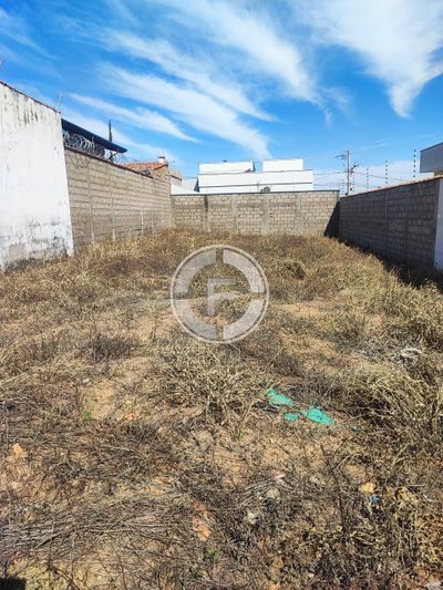 Terreno, 250 m² - Foto 2