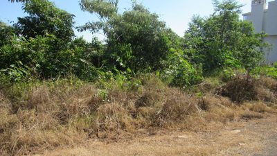 Terreno, 450 m² - Foto 5