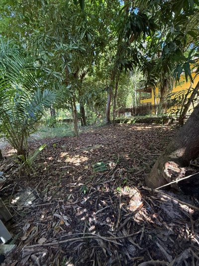Terreno, 300 m² - Foto 4