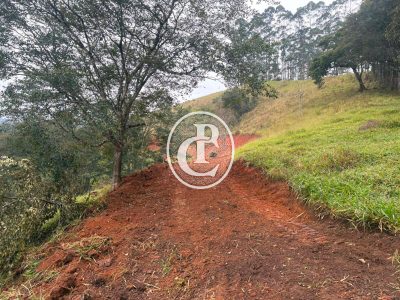 Terreno, 2 hectares - Foto 3