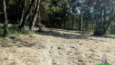Terreno, 2800 m² - Foto 5