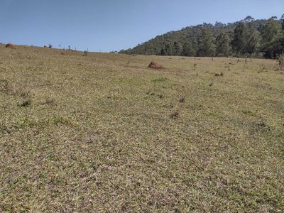 Sítio, 2 quartos, 9680 m² - Foto 4