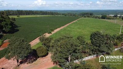 Sítio, 13 hectares - Foto 1