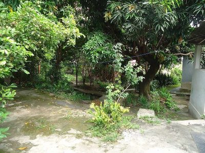 Casa, 3 quartos, 1240 m² - Foto 3