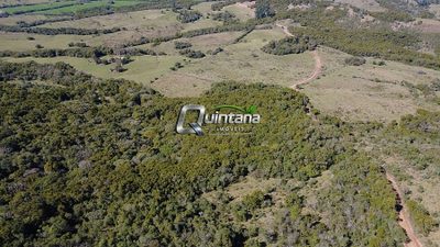 Terreno, 42 hectares - Foto 1
