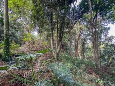 Terreno, 5339 m² - Foto 4