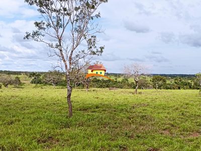 Fazenda, 1623 m² - Foto 4