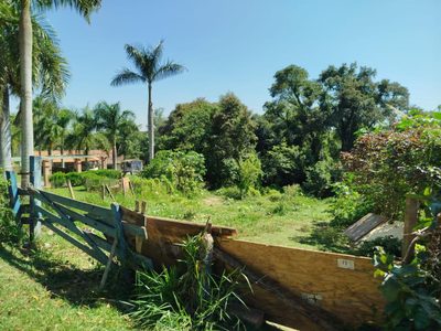 Terreno, 2 hectares - Foto 4