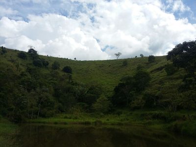 Fazenda, 100 m² - Foto 5