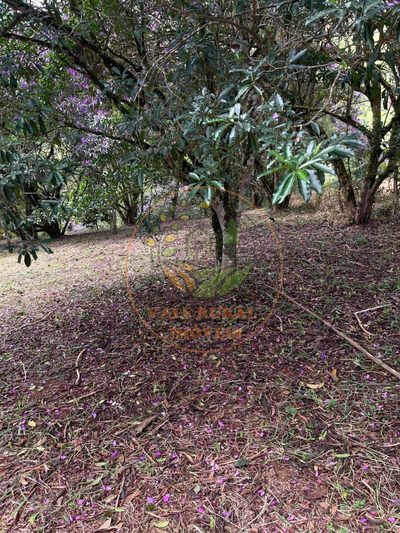 Terreno, 900 m² - Foto 5