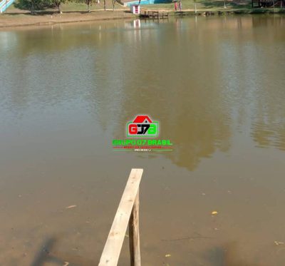 Terreno, 12 hectares - Foto 4