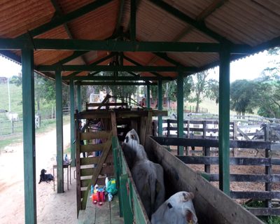 Fazenda, 140 m² - Foto 1