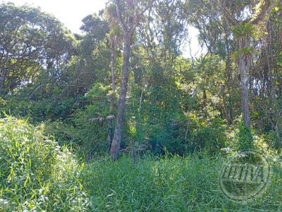 Terreno, 360 m² - Foto 4