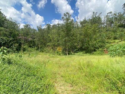 Terreno, 5 hectares - Foto 4