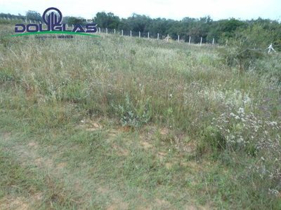 Terreno, 544 m² - Foto 5