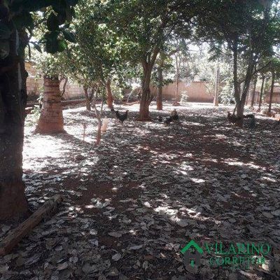 Terreno, 1500 m² - Foto 4