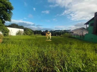 Terreno, 1620 m² - Foto 5