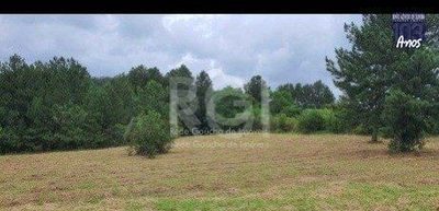 Terreno, 10000 m² - Foto 4