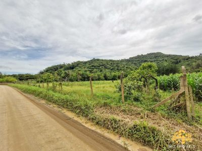 Terreno, 4 hectares - Foto 4